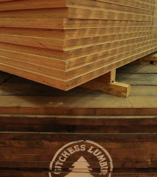 0K4A3537 resize 533x600