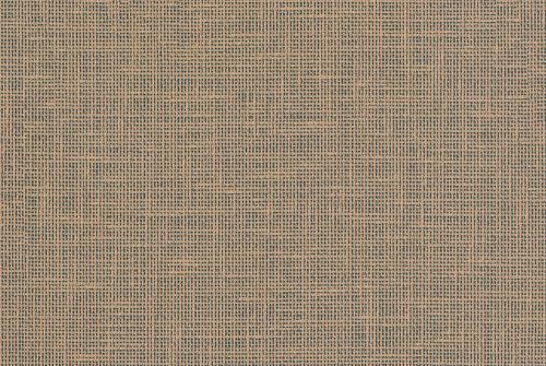 38455322TEXC jpg384 500x335 1