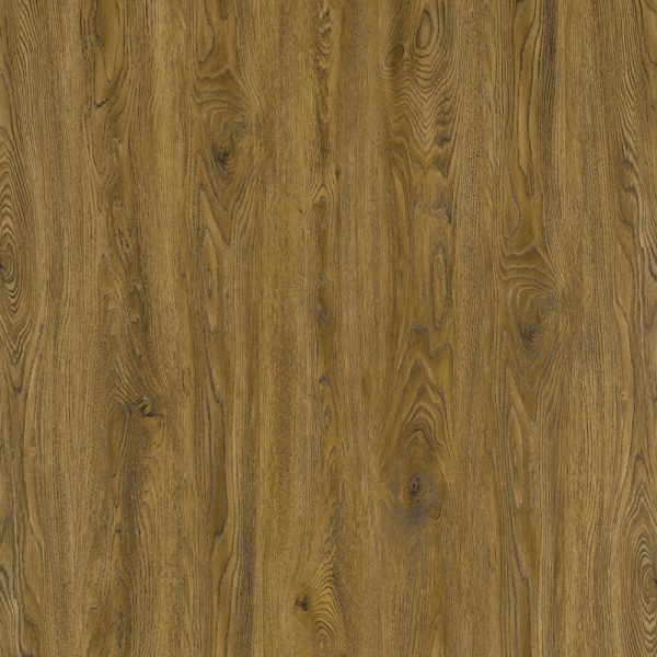 5795184 1 jpg579 600x600