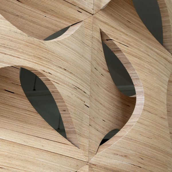 Ba020 600x600