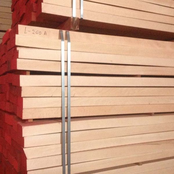 Beech02 600x600