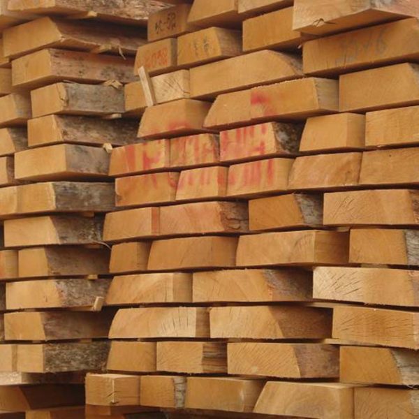 Beech04 600x600