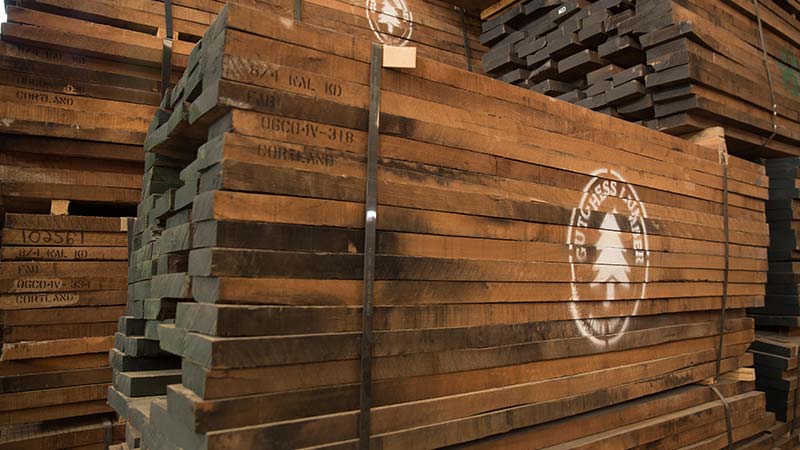 Black walnut