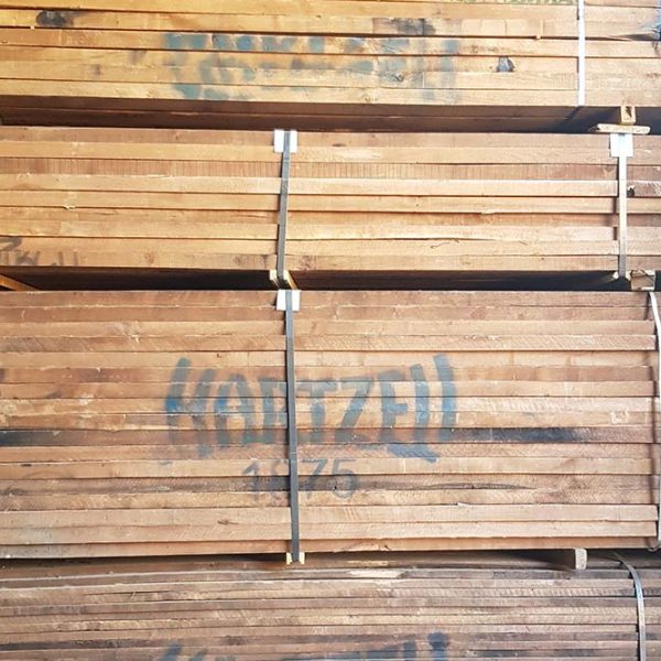 Black walnut01 1 600x600