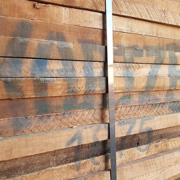 Black walnut02 1 600x600