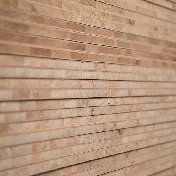 Blockboard01 1 600x600