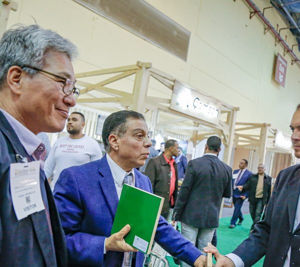 Cairowoodsho2019027 600x533