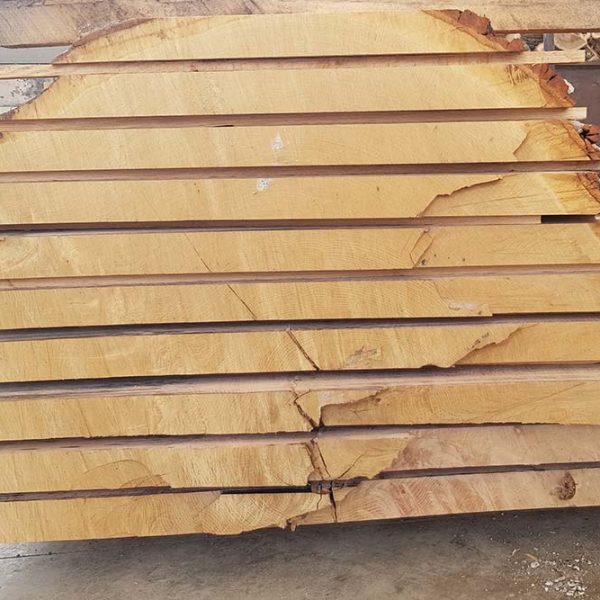 Live edge03 600x600