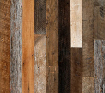 992dc77b e91d 4395 aefb f1968b2074bd 360x320