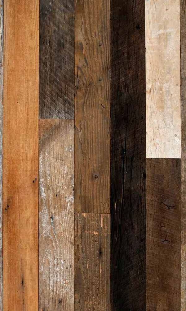 992dc77b e91d 4395 aefb f1968b2074bd 600x1000