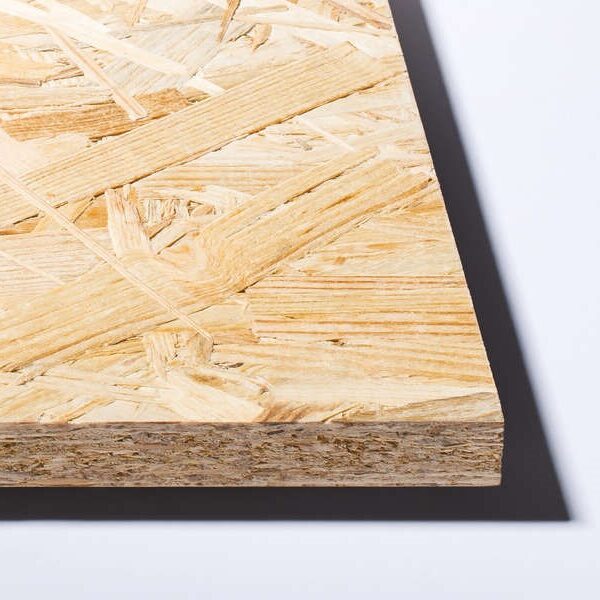 WhatsApp Image 2024 11 24 at 4 51 17 PM 600x600