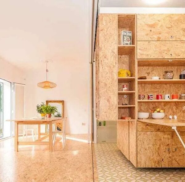 WhatsApp Image 2024 11 24 at 4 51 19 PM 1 600x589