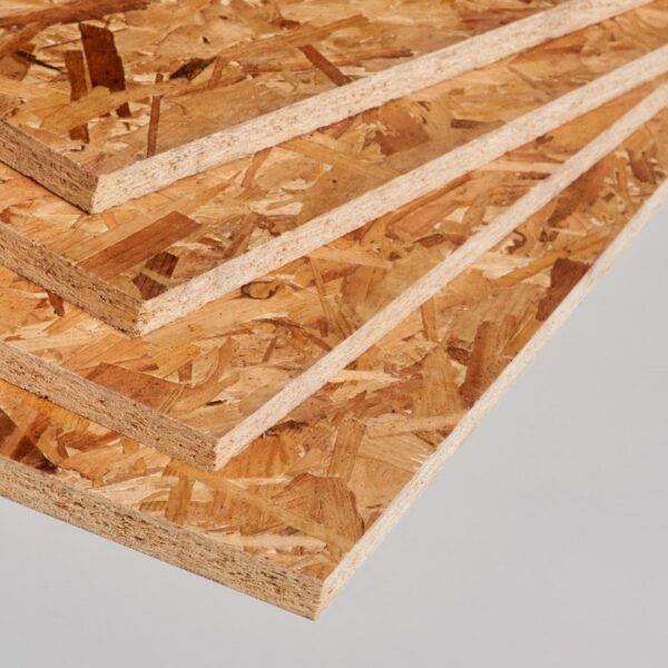 WhatsApp Image 2024 11 24 at 4 51 20 PM 600x600