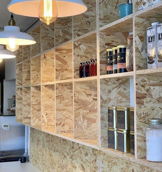 WhatsApp Image 2024 11 24 at 4 51 22 PM 1 563x600