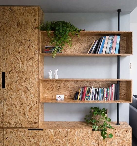 WhatsApp Image 2024 11 24 at 4 51 23 PM 563x600