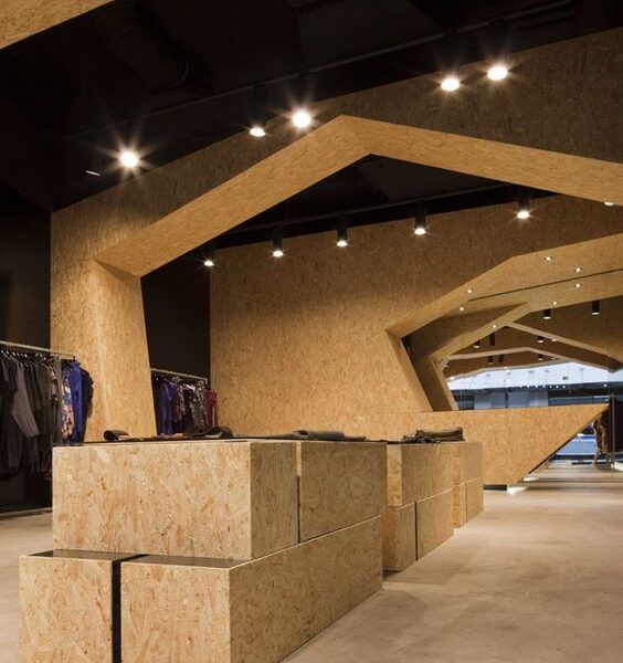 WhatsApp Image 2024 11 24 at 4 51 26 PM 2 564x600