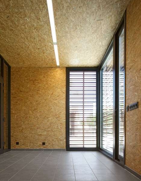 WhatsApp Image 2024 11 24 at 4 51 26 PM 468x600