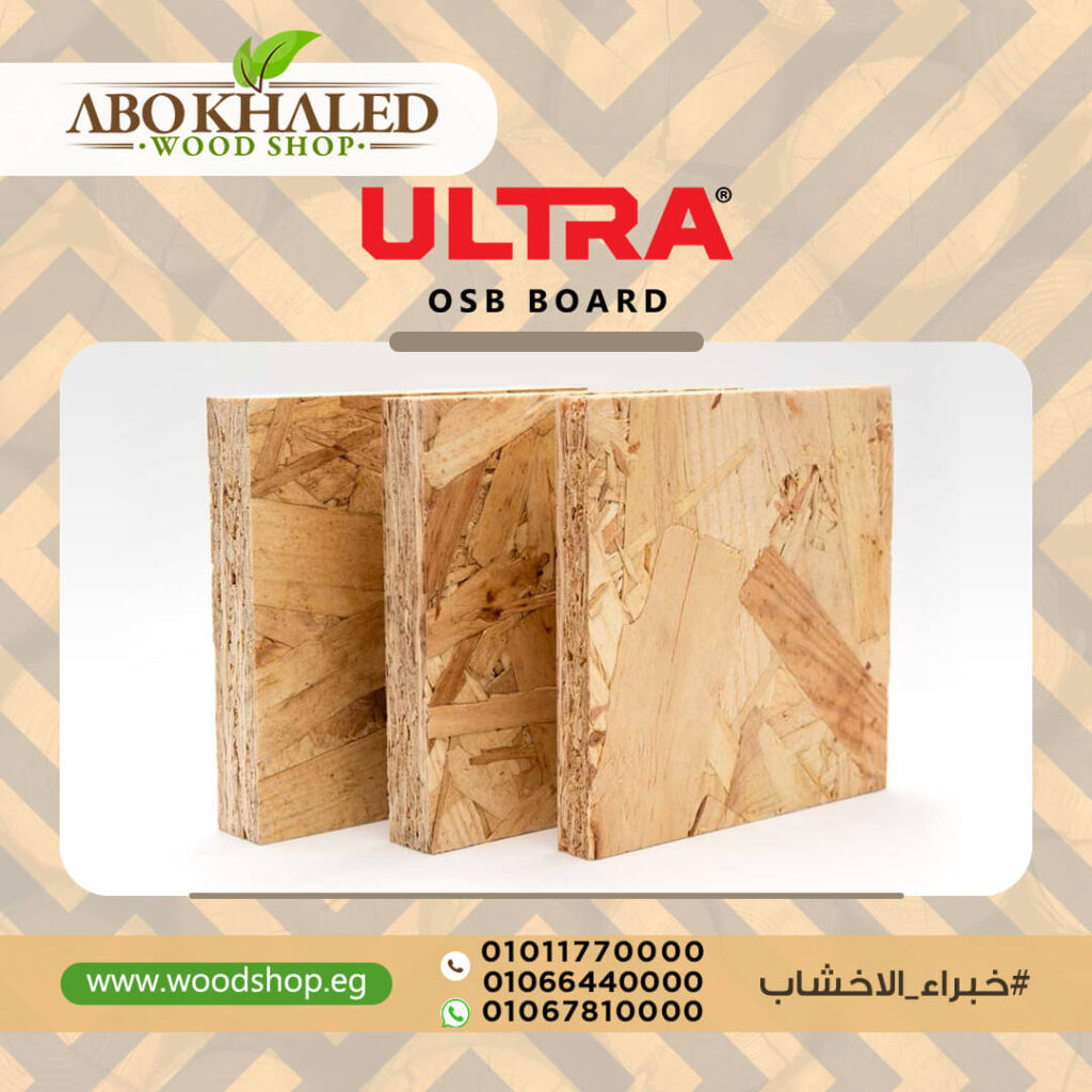 WhatsApp Image 2024 11 24 at 8 17 49 PM 1024x1024